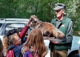 Die Viertklässler der PGS bei den Waldspielen im Burgauer Wald