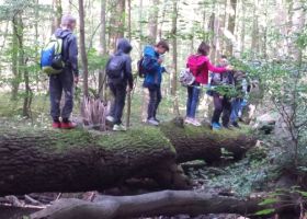 Die Viertklässler der PGS bei den Waldspielen im Burgauer Wald