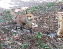 20190918_110736.jpg