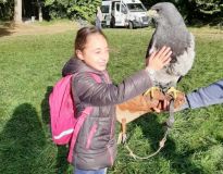 IMG-20190918-WA0011.jpg
