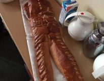 IMG_1560.jpg