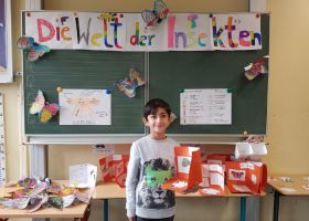 Projektwoche 2017